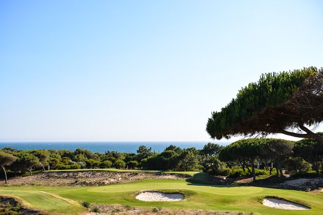 Majestic Athletic Fashion Show