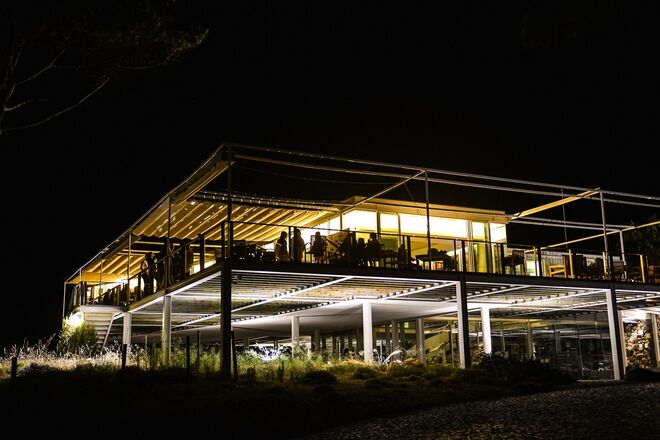 Majestic Athletic Fashion Show