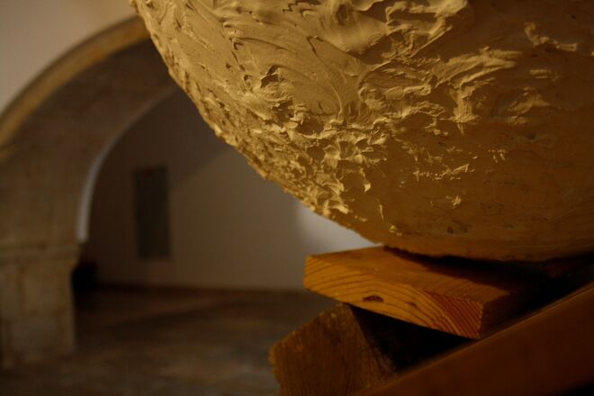 Take Over, de Teresa Canto Noronha