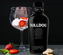 Como preparar o gin tónico perfeito