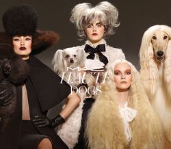 M·A·C HAUTE DOGS