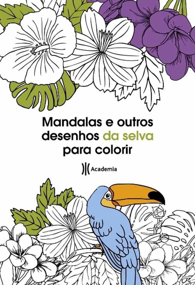 Mandalas e outros desenhos da selva para colorir, Academia