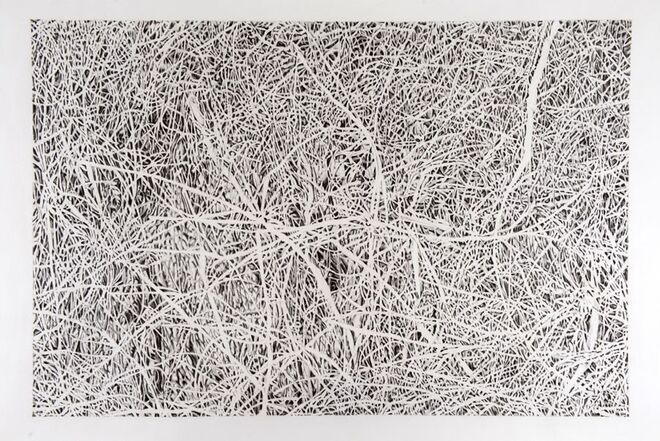 Lifelines, 2013, (120x180cm)