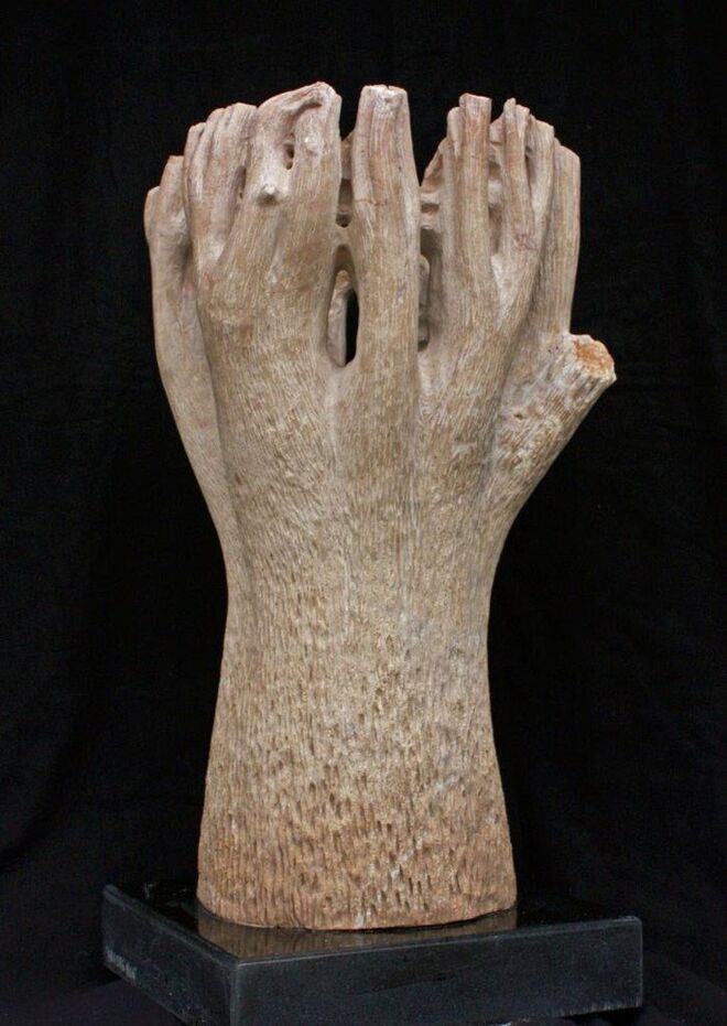 Árvore nua (60x30x30cm)