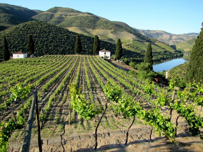 Quinta de Roriz - Vinha da Cerca - Chryseia Vineyards