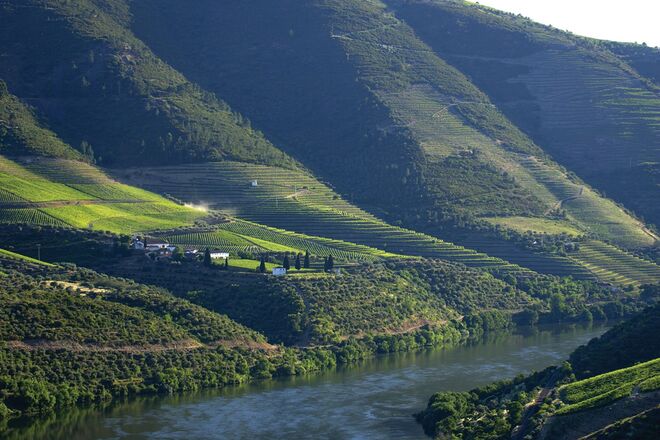 Vista da Quinta de Roriz