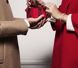 Carolina Herrera X Guia de Natal