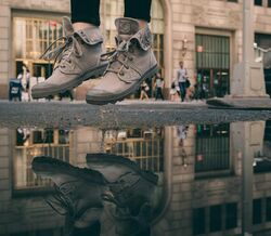 Palladium as botas do inverno