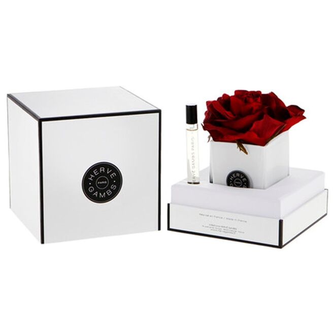 Herve Gambs na LOJA DAS MEIAS (preço sob consulta)