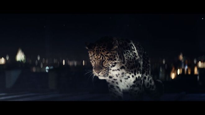 Cartier Diamons | O filme