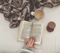 Os melhores livros para janeiro