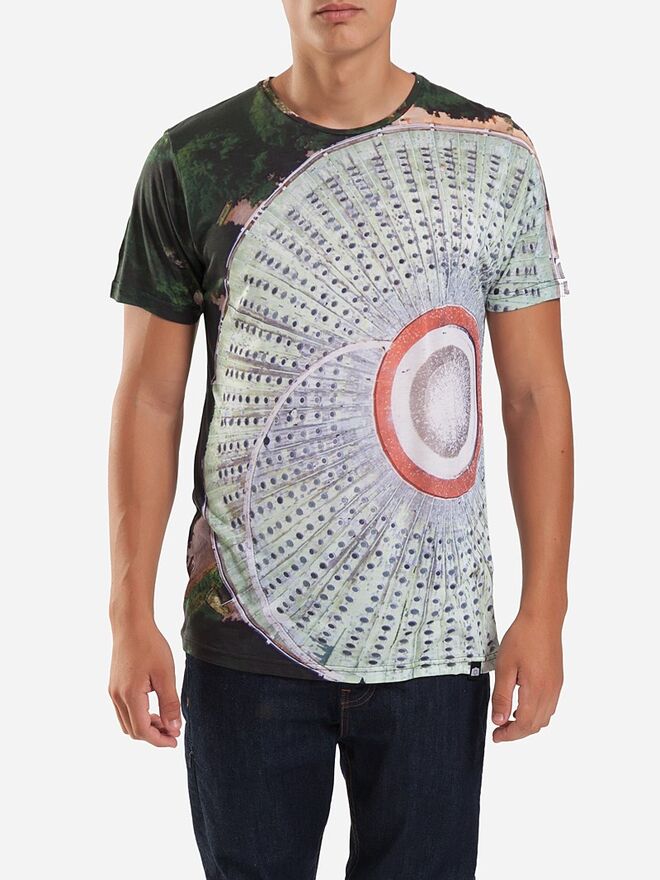 Nazareth Collection, €59,50