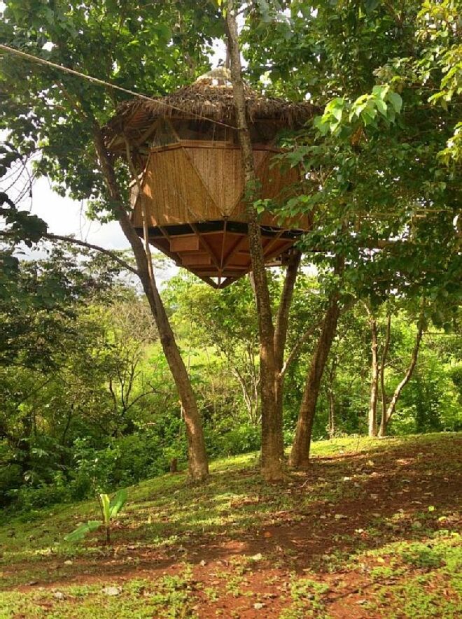 Costa Rica, Cahuita | 55 EUR / noite, 3 pessoas