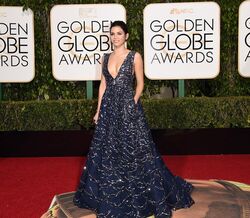 Golden Globe Awards 2016