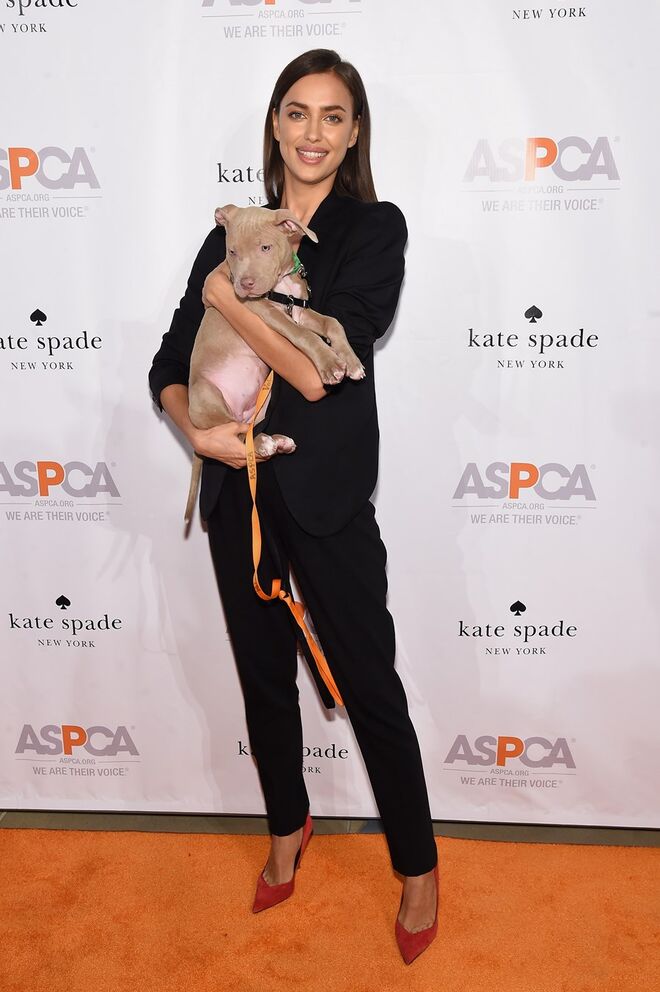 Evento ASPCA Young Friends Benefit, 2015