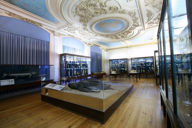 Coleção Rei D. Carlos I, Aquário Vasco da Gama