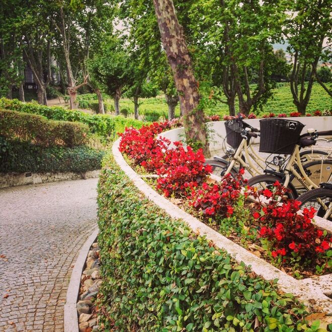 Quinta da Pacheca, Lamego