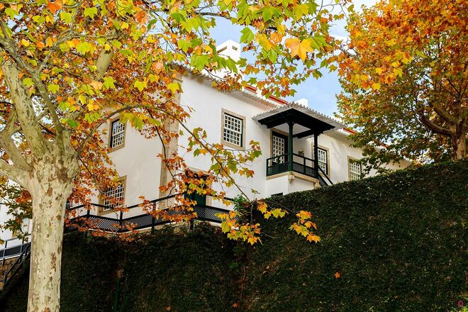 Quinta da Pacheca, Lamego