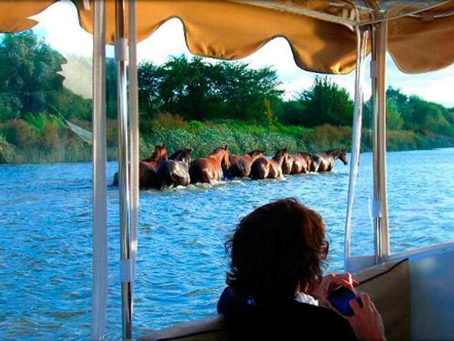 Passeio de barco pelo Tejo