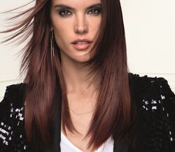 Alessandra Ambrosio e Camille Rowe para L'Oréal Professionnel