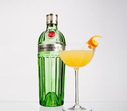 PREPARAR COCKTAILS PREMIUM EM CASA? SIM, É POSSÍVEL!