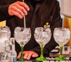 Festival Gin D’Ourique