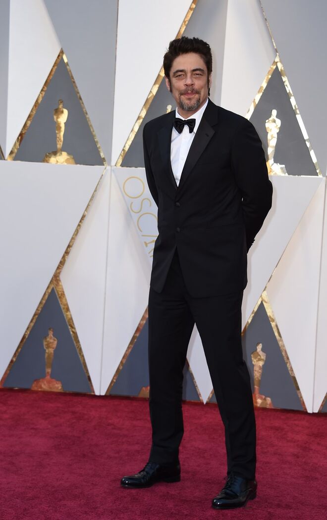 Benicio del Toro
