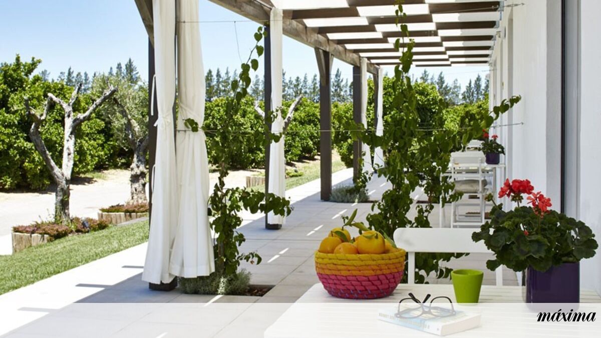 O novo destino a Quinta dos perfumes em Tavira Atual Máxima