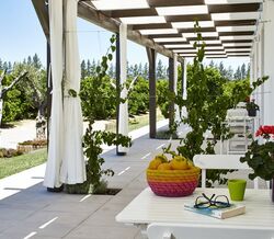 O novo destino: a Quinta dos perfumes em Tavira