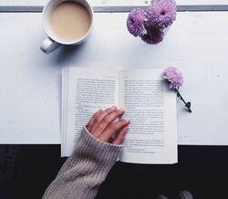 Abril livros mil