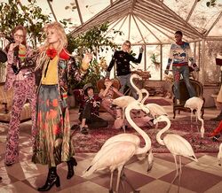 Campanha Pre-Fall Gucci com sabor tropical