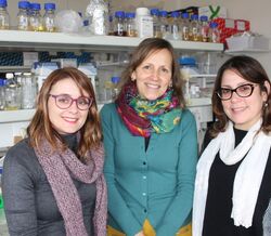 As investigadoras Tânia Caetano, Sónia Mendo e Cláudia Covas