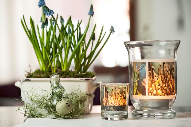 Fotokasten / homify.pt