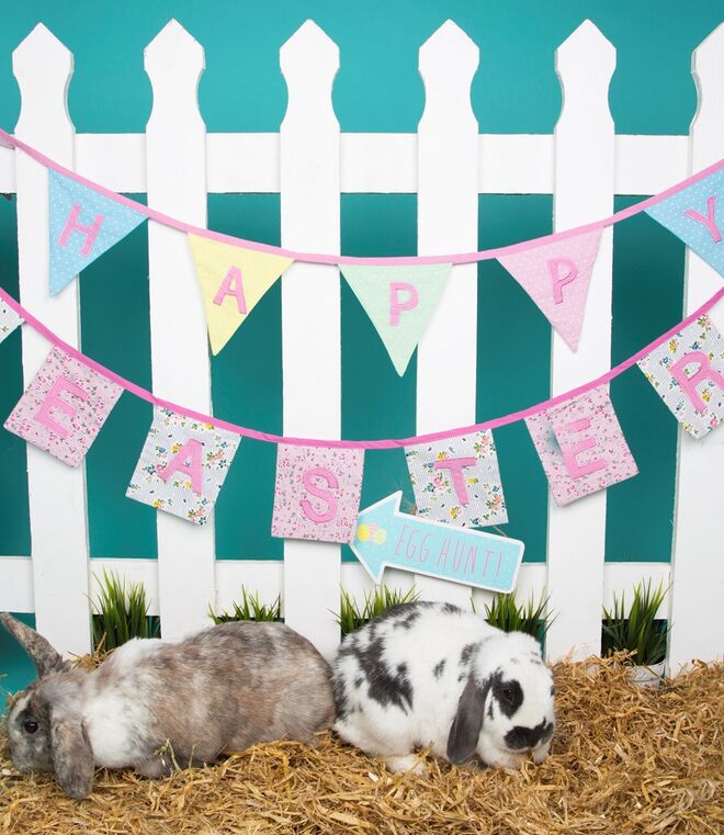 Sass & Belle / homify.pt