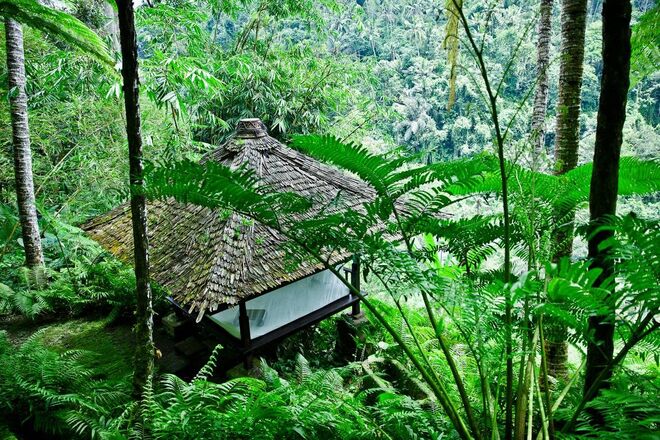 2. COMO Shambhala Estate, Bali