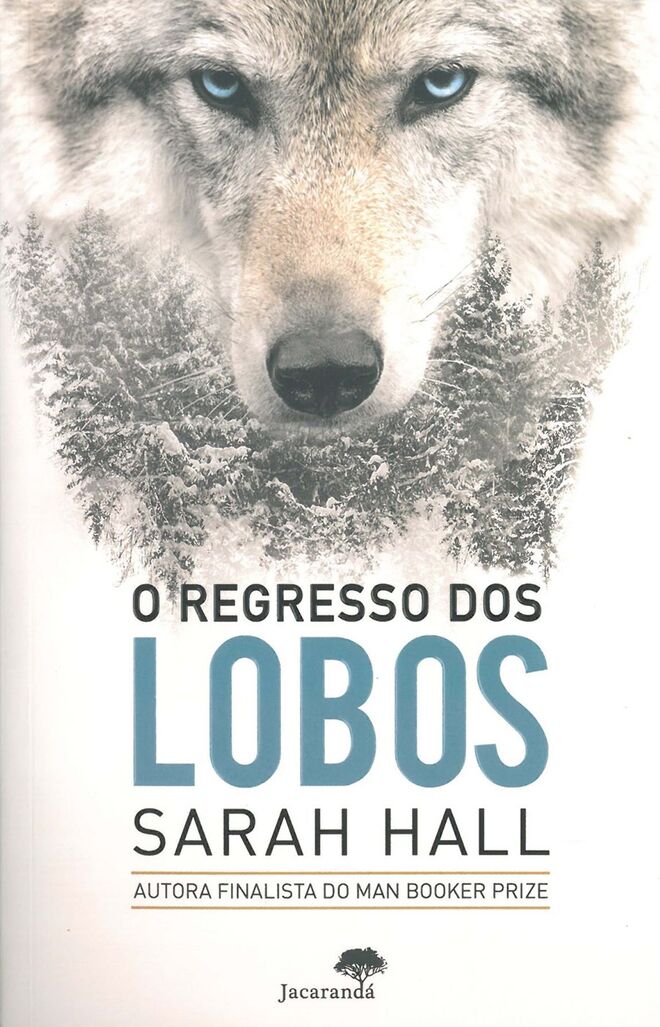 O REGRESSO DOS LOBOS, de Sarah Hall (Jacarandá) | Rachel Caine é desafiada a participar num projeto que prevê a reintrodução do lobo-cinzento numa zona do interior britânico, contribuindo assim para o ideal de uma natureza selvagem. Em simultâneo regressa à sua terra natal, confrontando-se com a família numa altura em que traz uma nova vida dentro de si. Muito elogiado pela crítica, foi definido como uma original e profunda reflexão sobre a maternidade. 