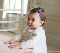 Um Ano de Princesa Charlotte