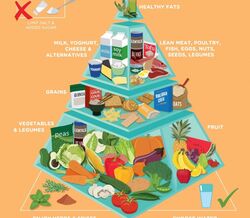 Há uma nova pirâmide alimentar!