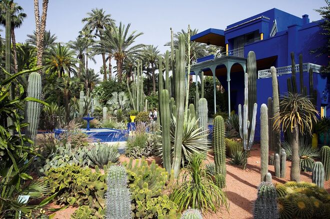 Jardim Majorelle