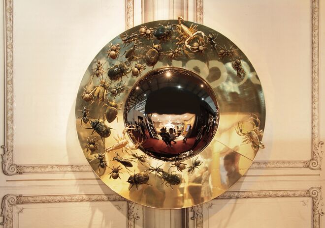 Boca do Lobo | Coleção "Metamorphosis"