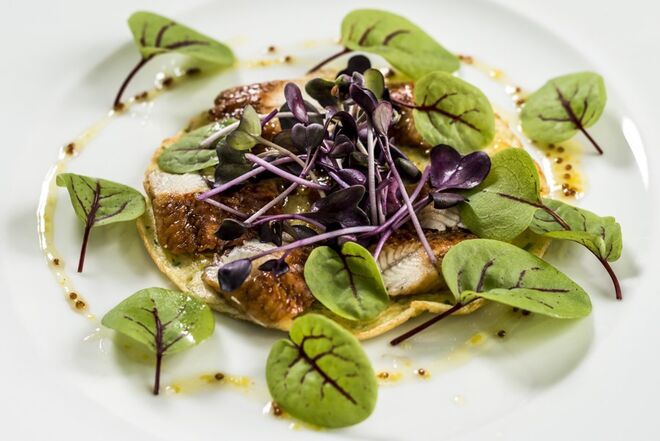 Patanisca de nada com enguia assada, mostarda e mel 