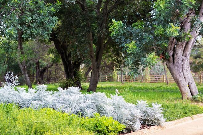 Ozadi Heart & Soul Tavira Hotel