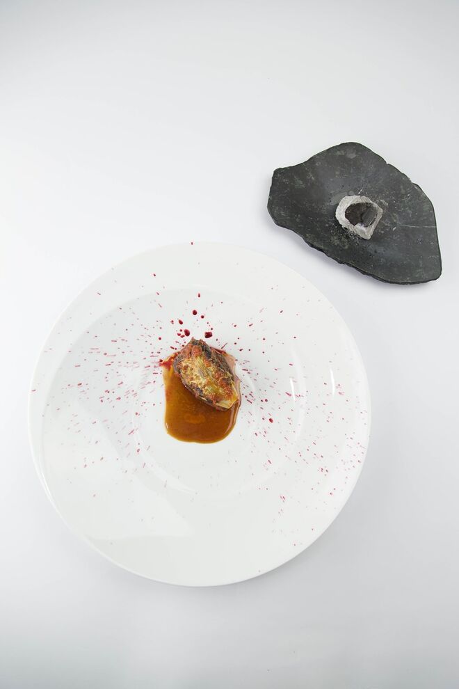 CatarinaPires@clementinethings