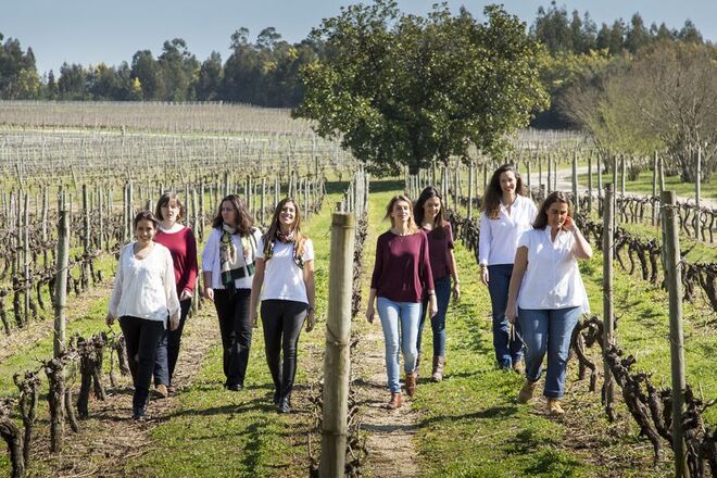 Esq-Catarina Vieira-Maria Manuel Maia-Luisa Amorim-Rita Nabeiro-Rita Fino-MafaldaGuedes-Francisca Van Zeller- Rita Pinto