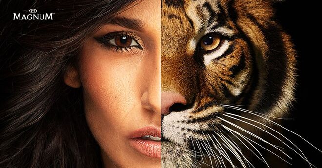 Magnum Rita Pereira - Tigre