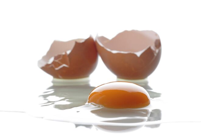 Ovos.  Esta proteína animal não contém muitas calorias, e o seu consumo pela manhã está associado a uma perda de peso e gordura na zona abdominal até aos 65%.