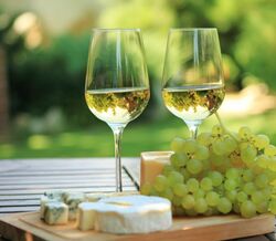 15 vinhos para os almoços de verão