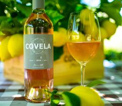 Os vinhos de verão da Quinta da Covela