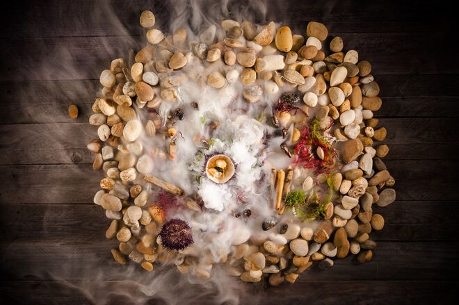 Ouriço do mar e pontilha