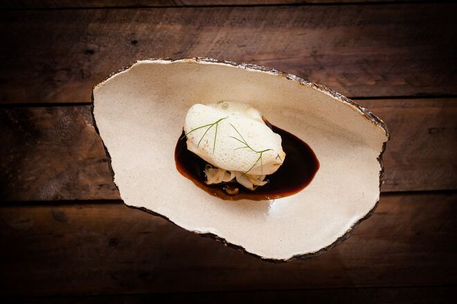 Rodovalho, lula gigante e rebentos de soja